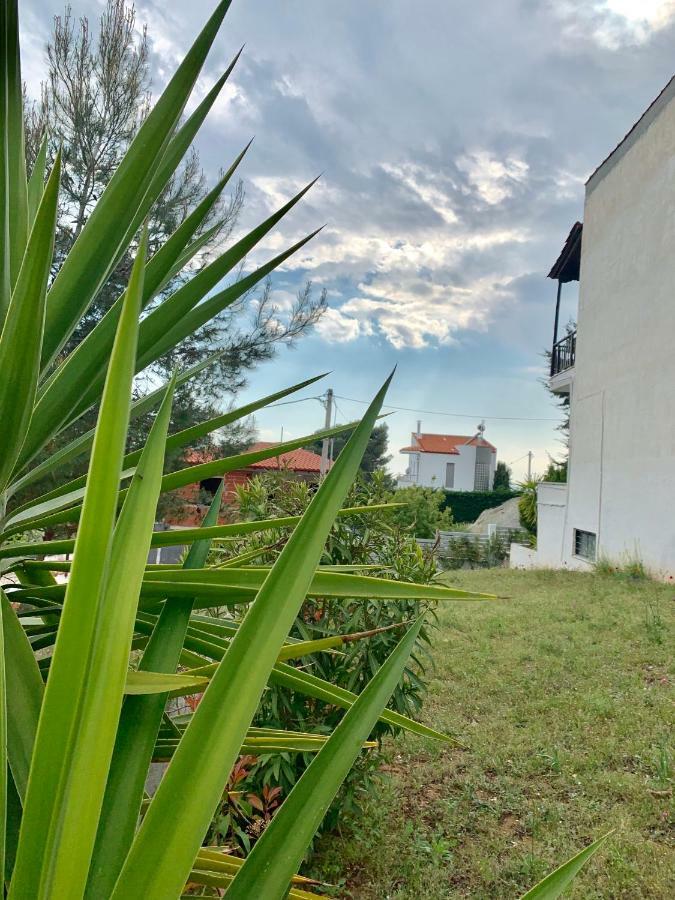 Summer Luxury Villa With Sea View Metamorfosi  Esterno foto